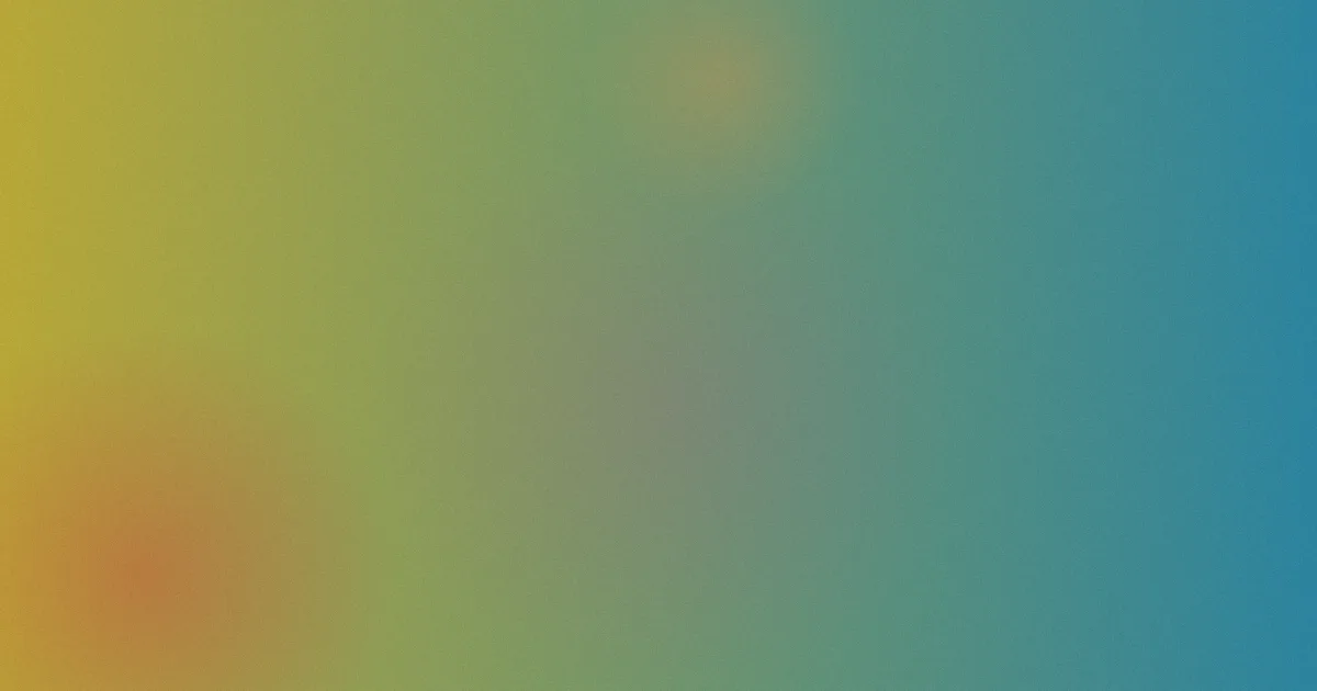 《窥情》是什么？一文说清